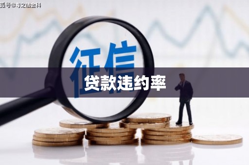 申扎贷款违约率