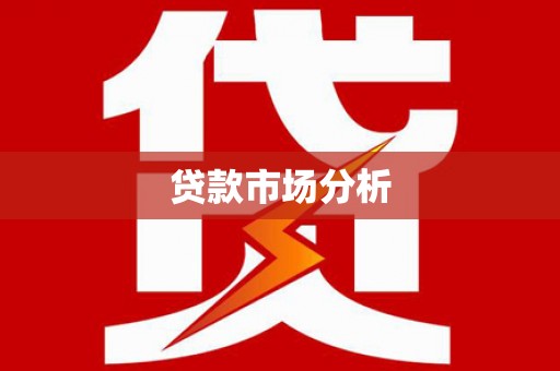 申扎贷款市场分析