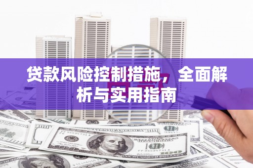 申扎贷款风险控制措施，全面解析与实用指南