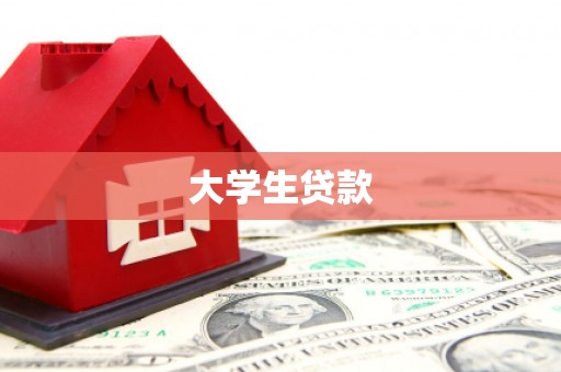 申扎大学生贷款