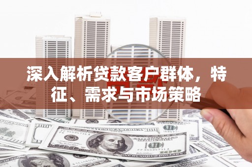 申扎深入解析贷款客户群体，特征、需求与市场策略
