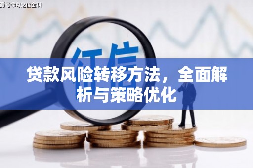 申扎贷款风险转移方法，全面解析与策略优化