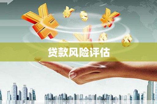 申扎贷款风险评估