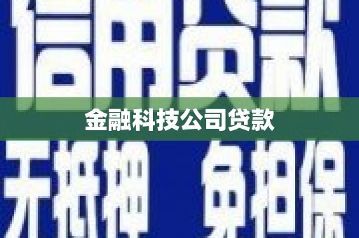 申扎金融科技公司贷款