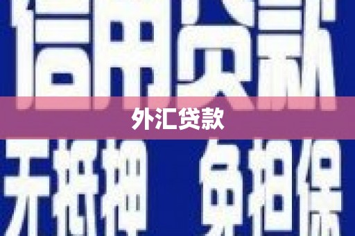 申扎外汇贷款