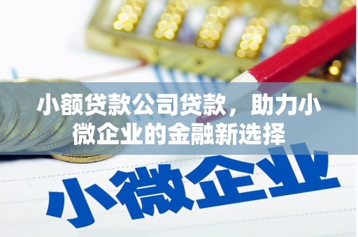申扎小额贷款公司贷款，助力小微企业的金融新选择