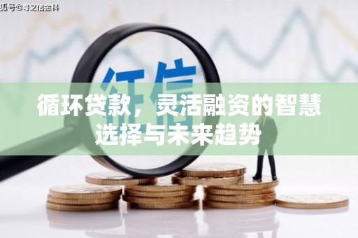 申扎循环贷款，灵活融资的智慧选择与未来趋势