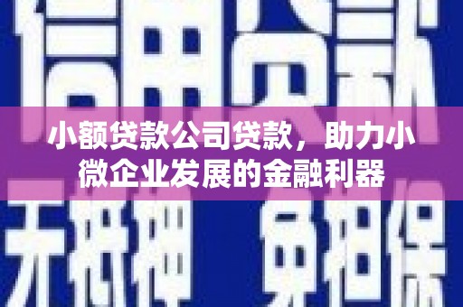 申扎小额贷款公司贷款，助力小微企业发展的金融利器