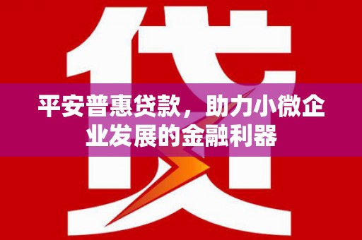 申扎平安普惠贷款，助力小微企业发展的金融利器