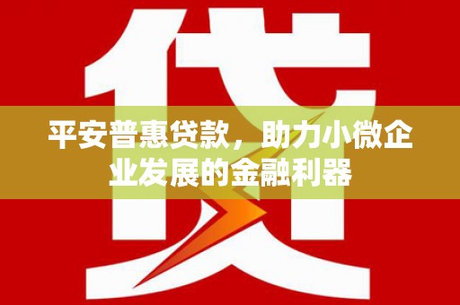 申扎平安普惠贷款，助力小微企业发展的金融利器