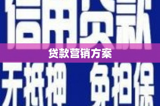 申扎贷款营销方案