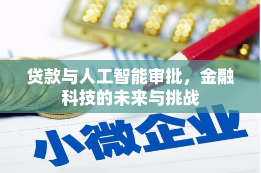 申扎贷款与人工智能审批，金融科技的未来与挑战