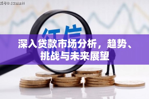 申扎深入贷款市场分析，趋势、挑战与未来展望