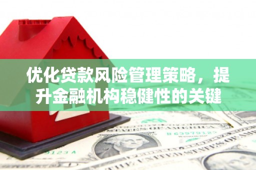 申扎优化贷款风险管理策略，提升金融机构稳健性的关键