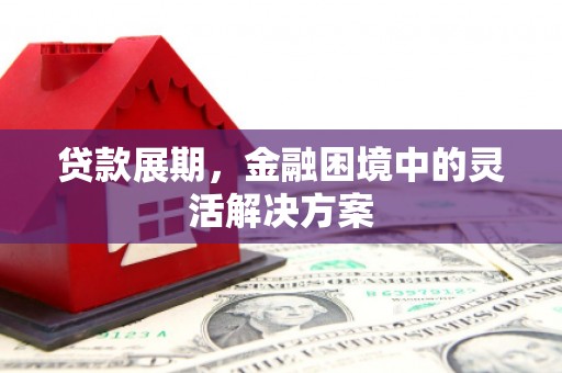 申扎贷款展期，金融困境中的灵活解决方案