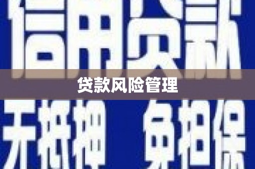申扎贷款风险管理