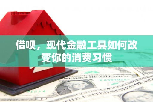 申扎借呗，现代金融工具如何改变你的消费习惯