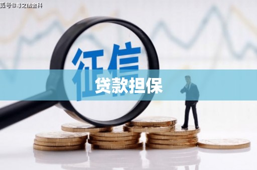 申扎贷款担保