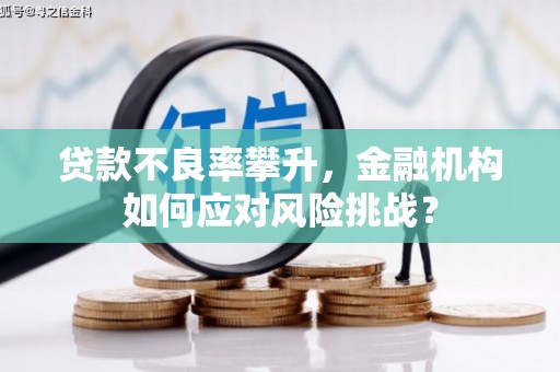 申扎贷款不良率攀升，金融机构如何应对风险挑战？