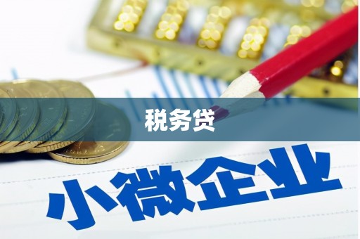 申扎税务贷