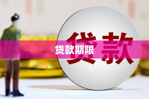 申扎贷款期限