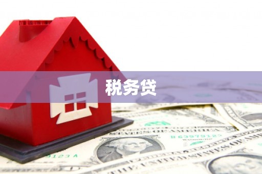 申扎税务贷