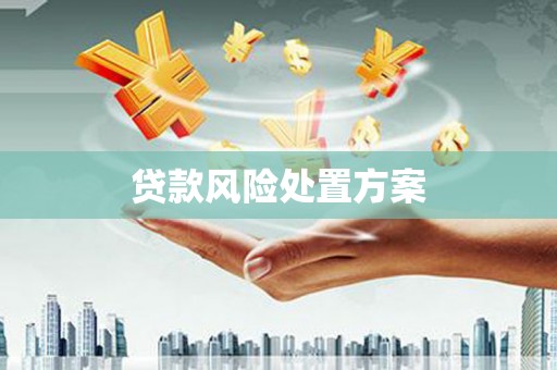 申扎贷款风险处置方案