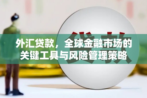 申扎外汇贷款，全球金融市场的关键工具与风险管理策略