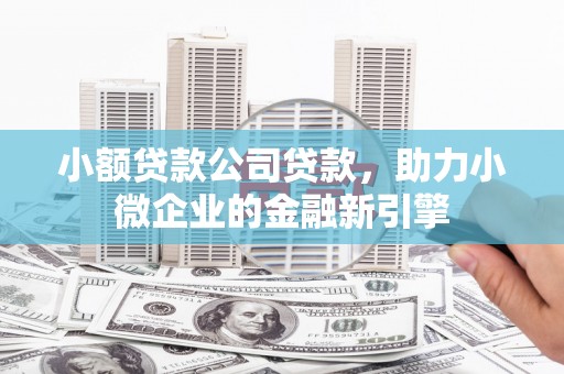 申扎小额贷款公司贷款，助力小微企业的金融新引擎