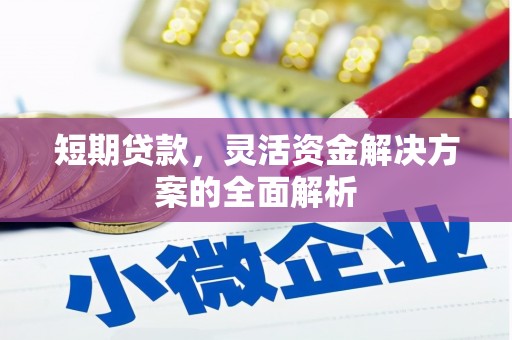 申扎短期贷款，灵活资金解决方案的全面解析