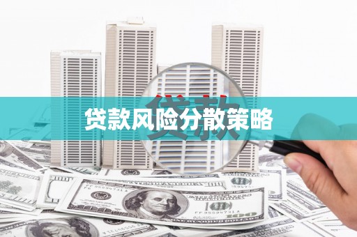 申扎贷款风险分散策略
