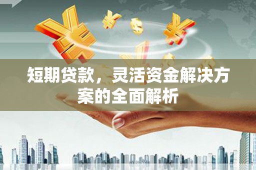 申扎短期贷款，灵活资金解决方案的全面解析