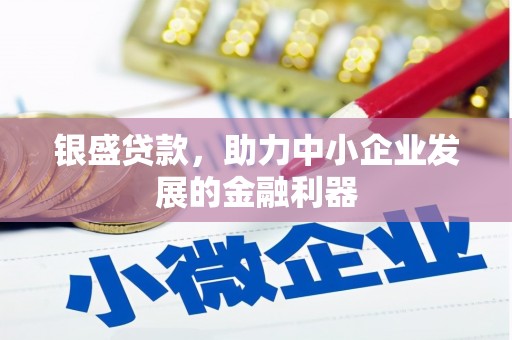 申扎银盛贷款，助力中小企业发展的金融利器