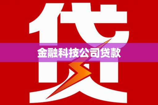 申扎金融科技公司贷款