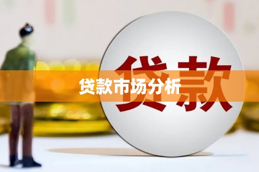 申扎贷款市场分析