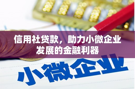 申扎信用社贷款，助力小微企业发展的金融利器