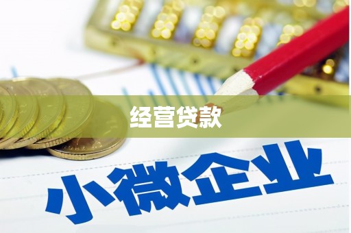申扎经营贷款