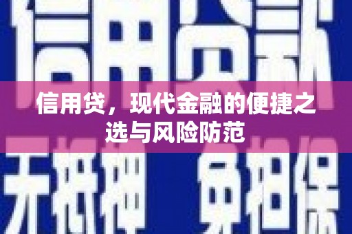 申扎信用贷，现代金融的便捷之选与风险防范