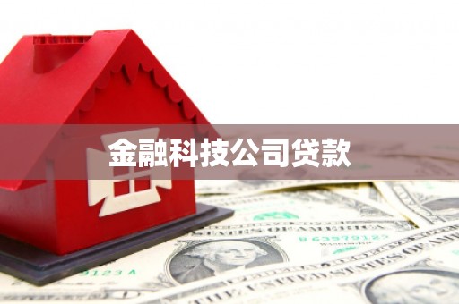 申扎金融科技公司贷款