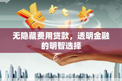申扎无隐藏费用贷款，透明金融的明智选择