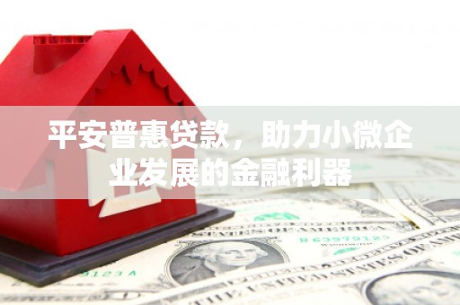 申扎平安普惠贷款，助力小微企业发展的金融利器