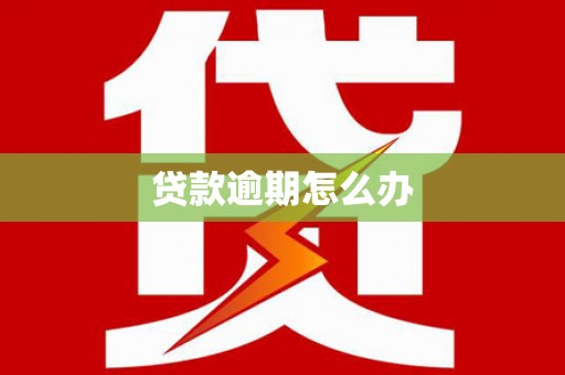 申扎贷款逾期怎么办