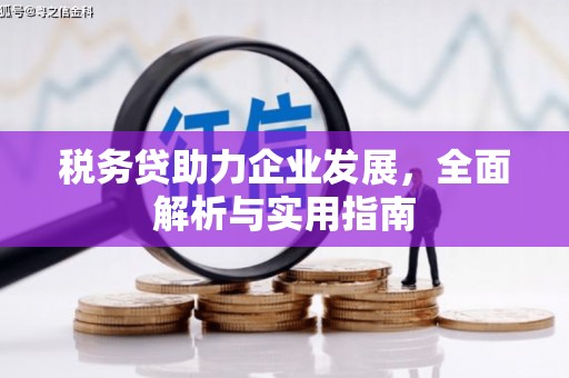 申扎税务贷助力企业发展，全面解析与实用指南