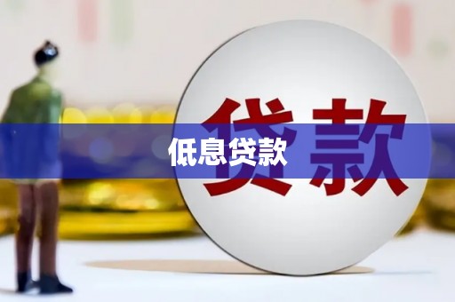申扎低息贷款