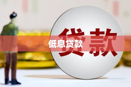 申扎低息贷款