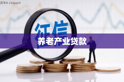 申扎养老产业贷款