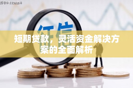申扎短期贷款，灵活资金解决方案的全面解析