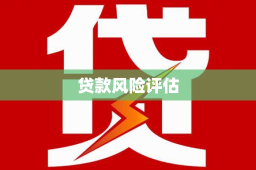 申扎贷款风险评估