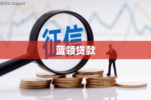 申扎蓝领贷款