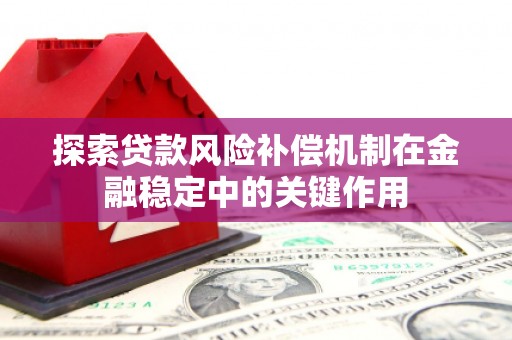 申扎探索贷款风险补偿机制在金融稳定中的关键作用